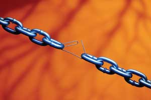 Рис. 1. Ни одного слабого звена в работе!