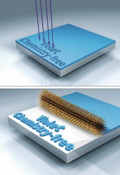 После экспонирования фиолетовые пластины Agfa нуждаются в очистке и гуммировании