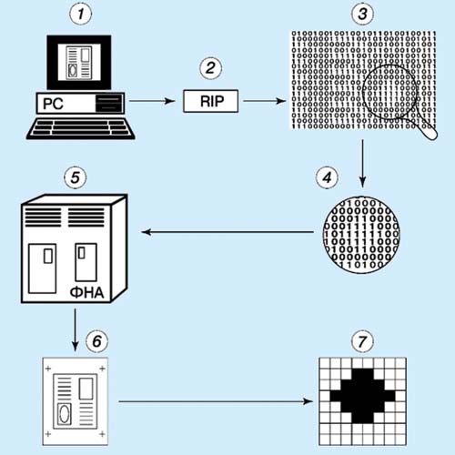 Рис. 5. Схема подготовки матрицы экспонирования