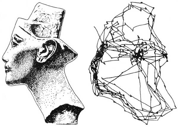 Рис. 1. Пример траектории движения глаз при рассматривании профиля Нефертити
